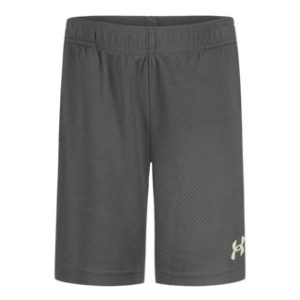 UA Tech™ Wordmark Little Boys' Shorts